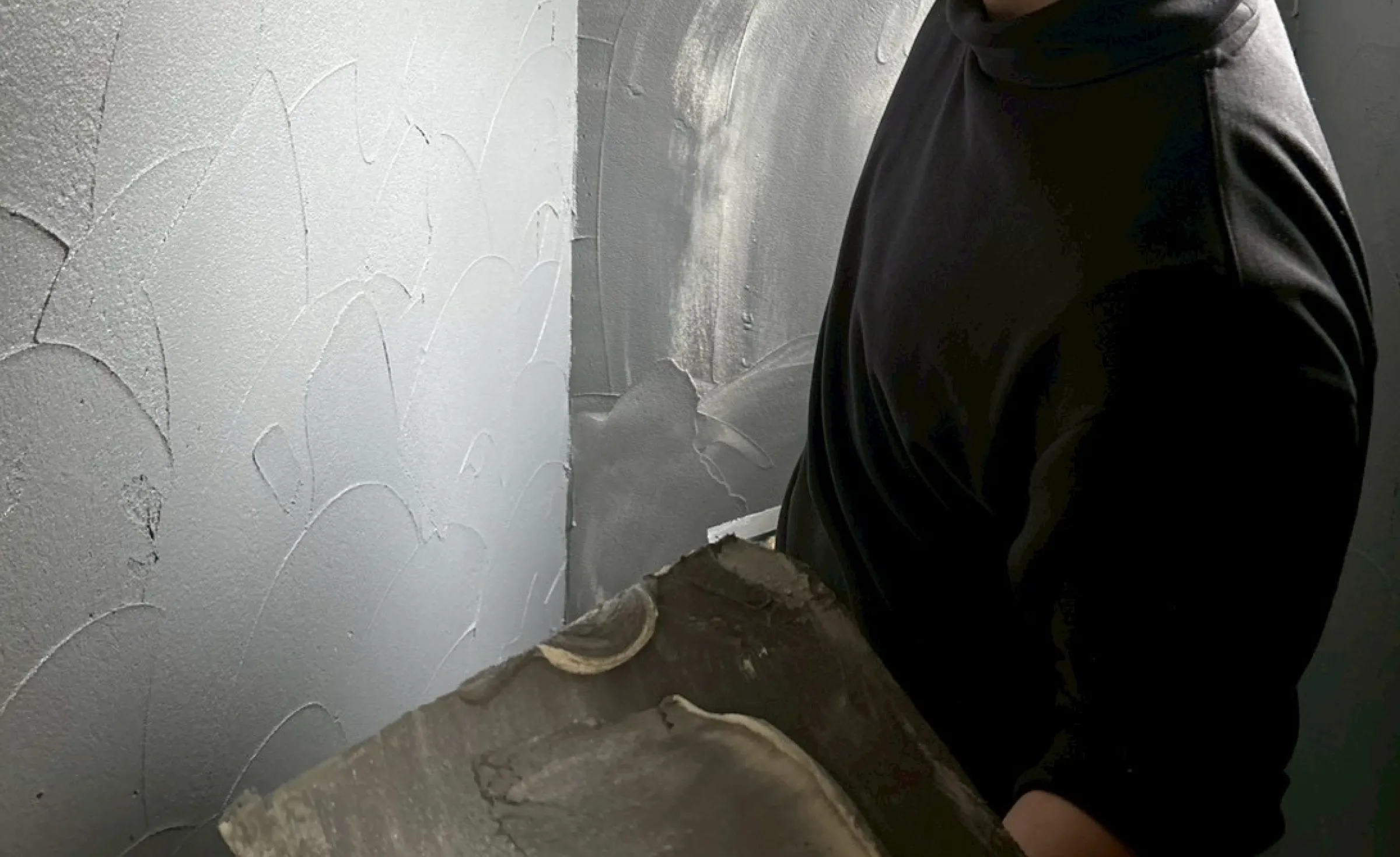 株式会社 ムートラスト